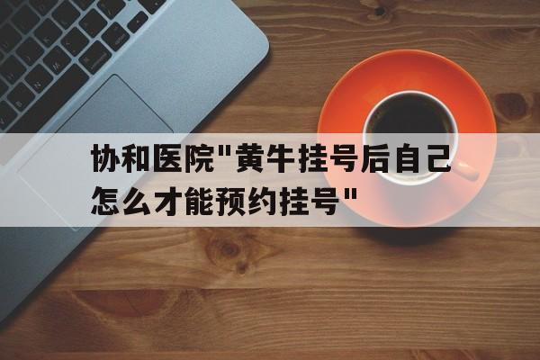 包含協和醫院"黃牛掛號后自己怎么才能預約掛號"的詞條
