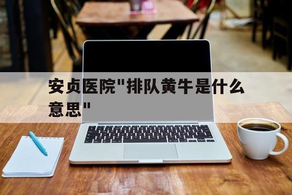 包含安貞醫(yī)院"排隊(duì)黃牛是什么意思"的詞條
