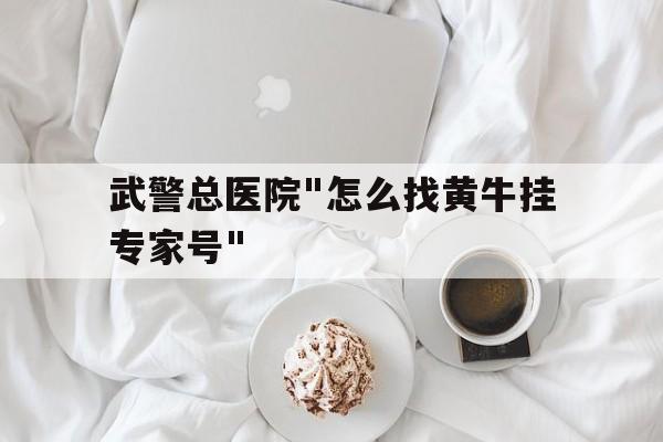 武警總醫院"怎么找黃牛掛專家號"的簡單介紹