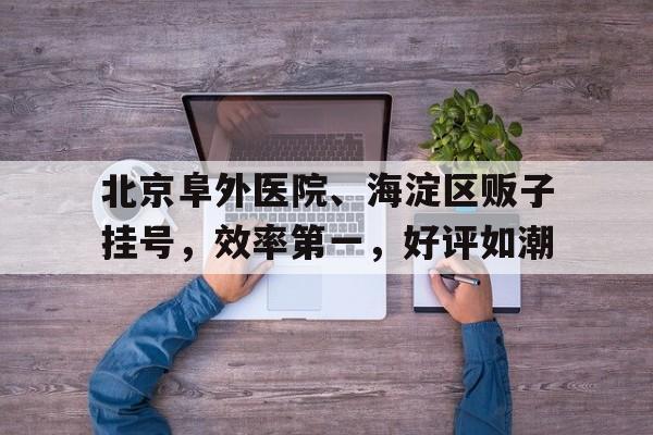 包含北京阜外醫院、海淀區販子掛號，效率第一，好評如潮的詞條